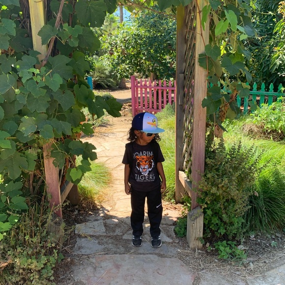 Meet your Posher, Rabyya - Picture 9 of 10